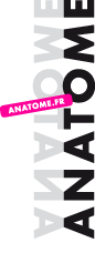 Logo de Anatome