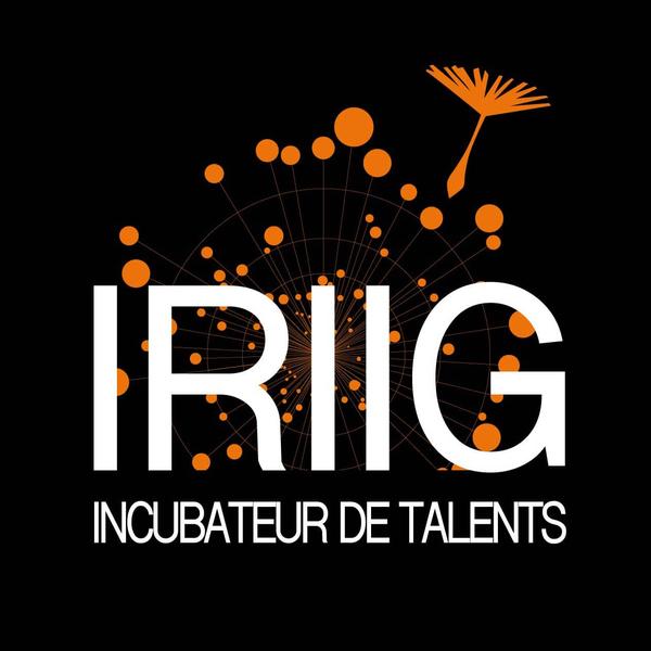 Logo de IRIIG - International Research Institute for Innovation