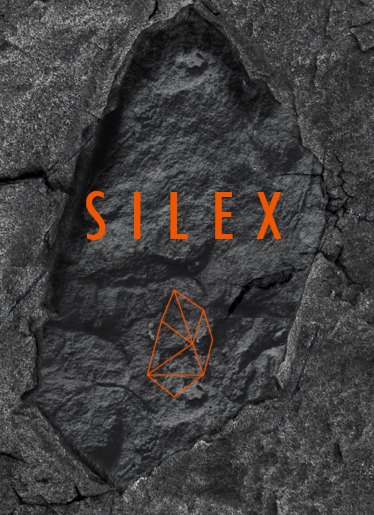 Logo de SILEX TECHNOLOGIES SAS