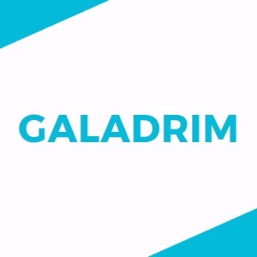 Logo de Galadrim