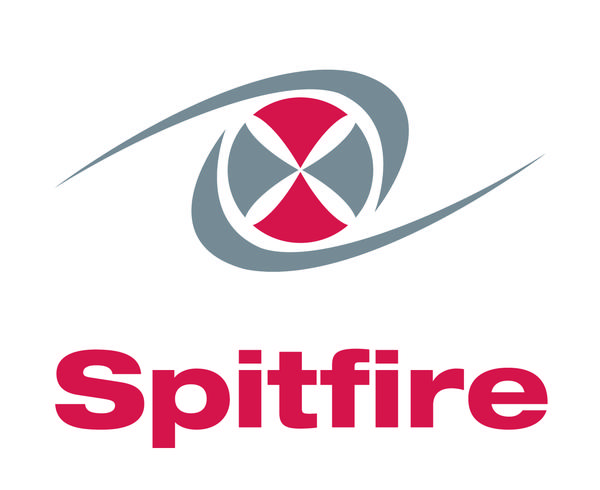 Logo de SPITFIRE Conseil