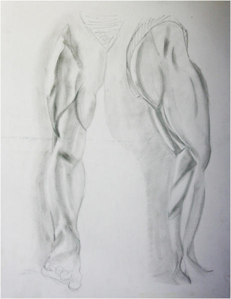 <p>Anatomie masculine au crayon de papier</p>