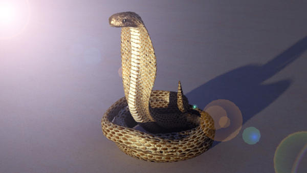 <p>Modélisation, texture et rendu d'un serpent sous 3Dsmax</p>