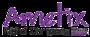 Logo de Ametix